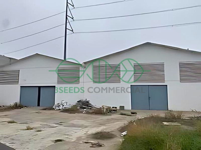 1 de 5