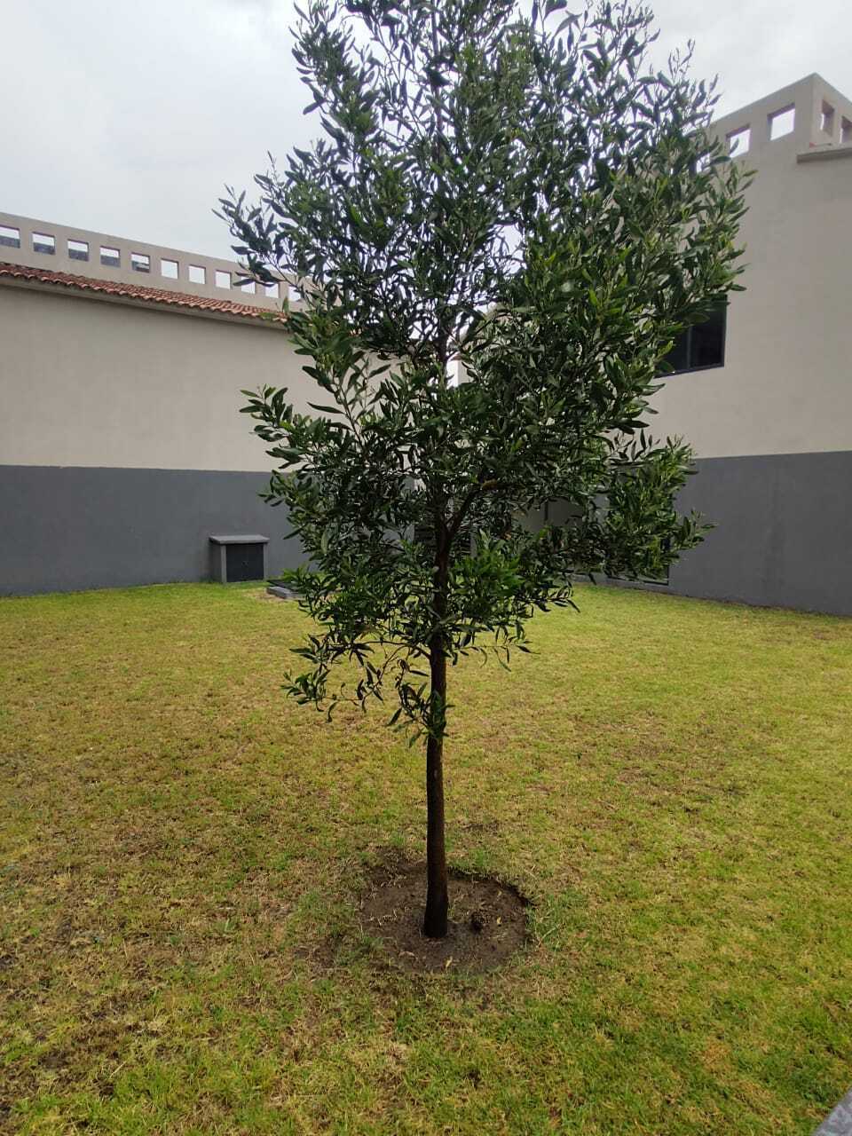 13 de 14