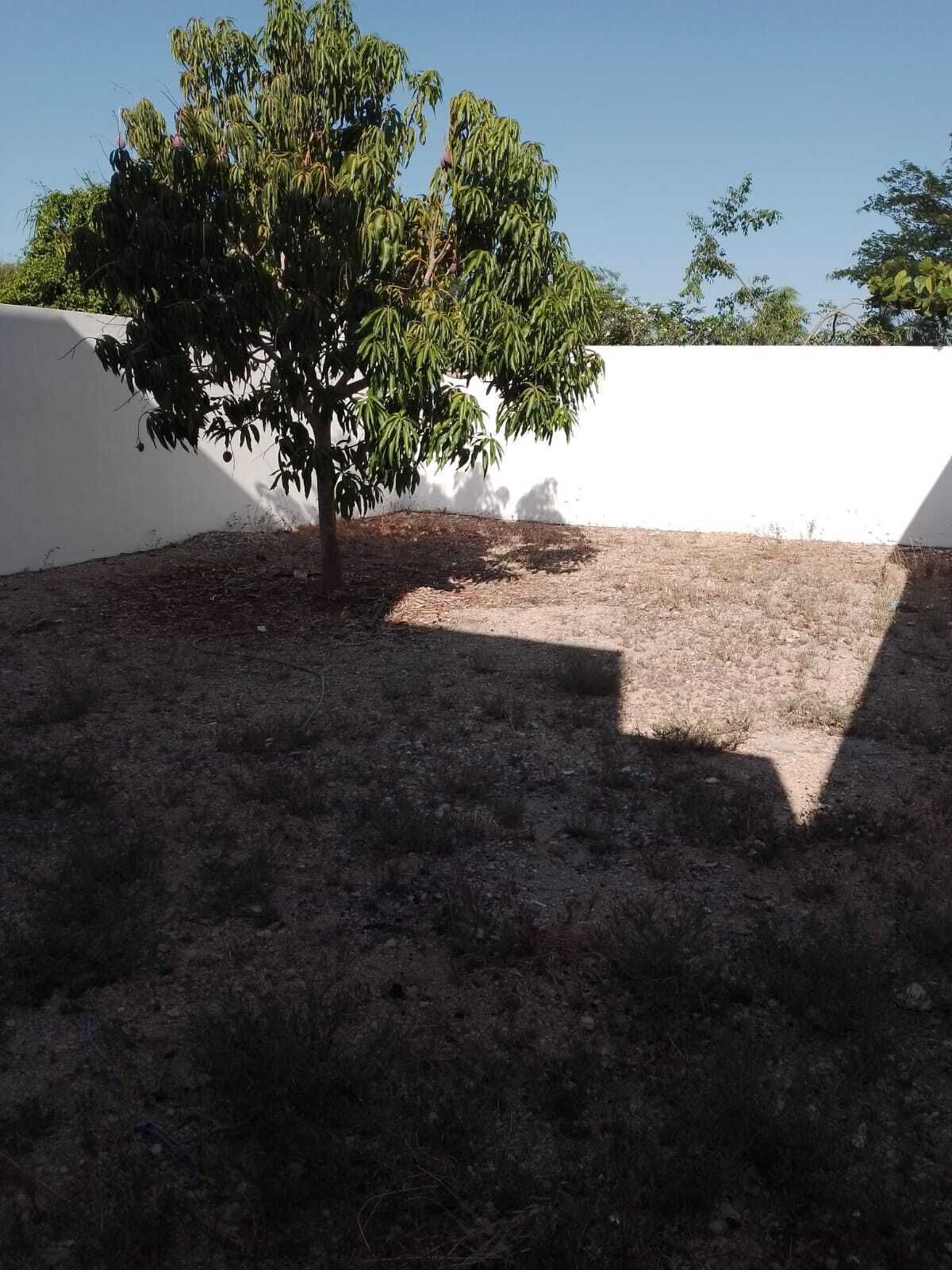 Imagen 6 de 6
