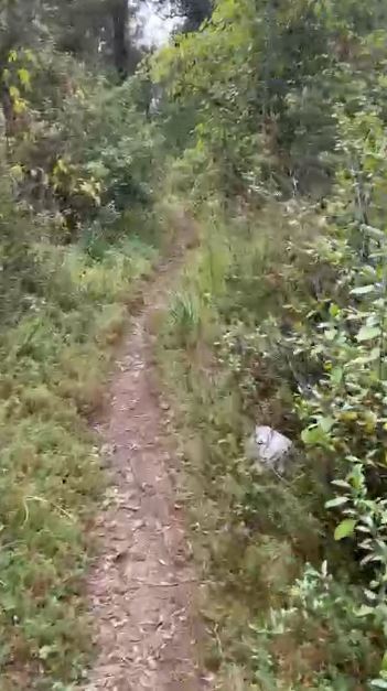 10 de 14