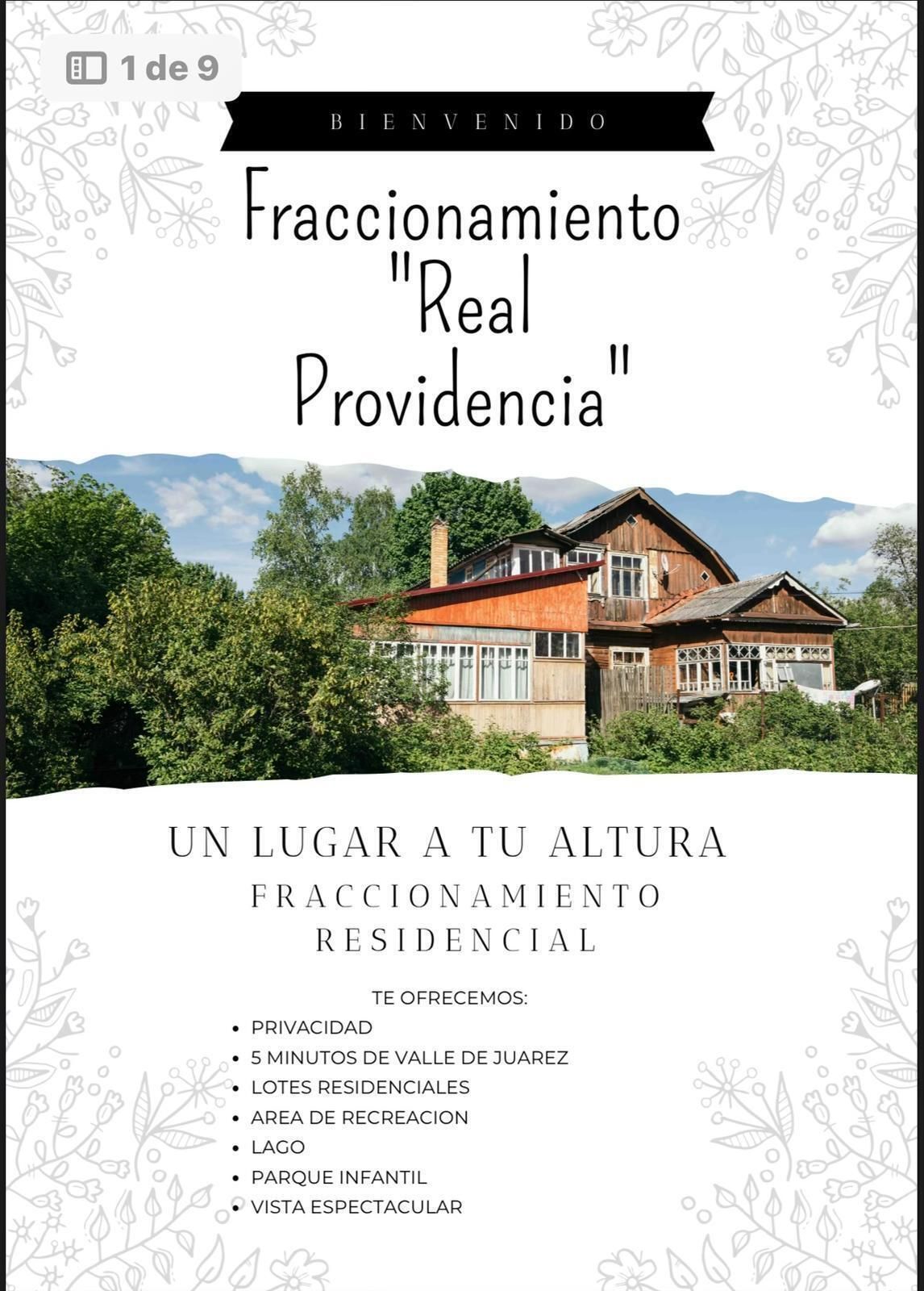 5 de 8
