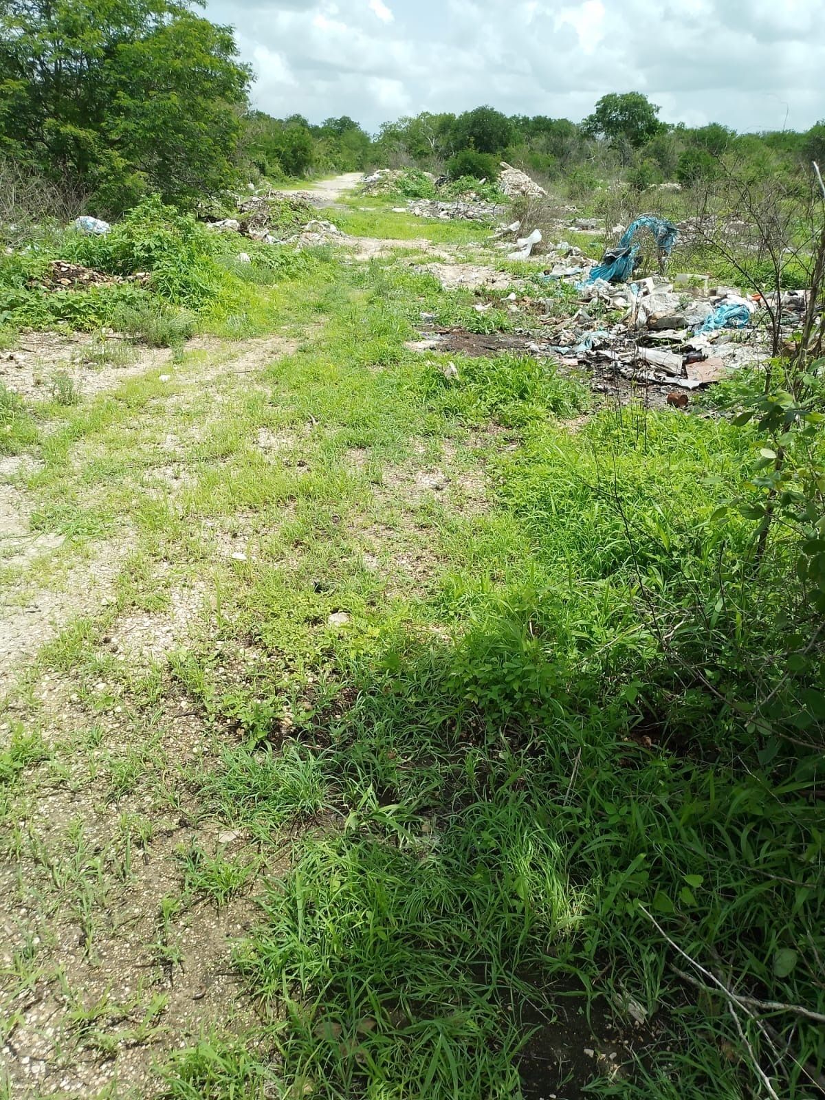 Land for sale in Komchén, a great opportunity - foto 4