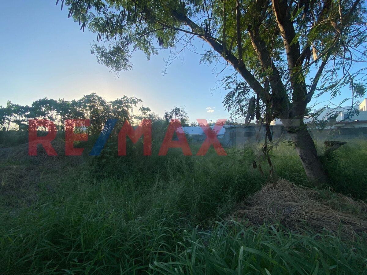 4 de 16
