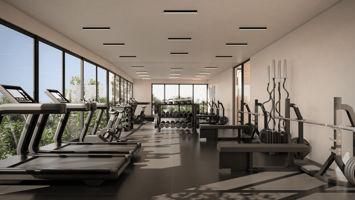 10 de 14: GYM