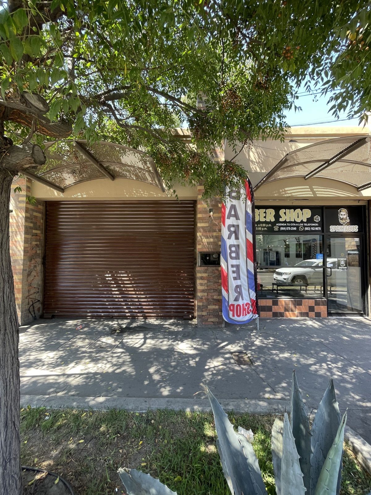 RENTA DE LOCAL COMERCIAL EN ZONA CENTRO