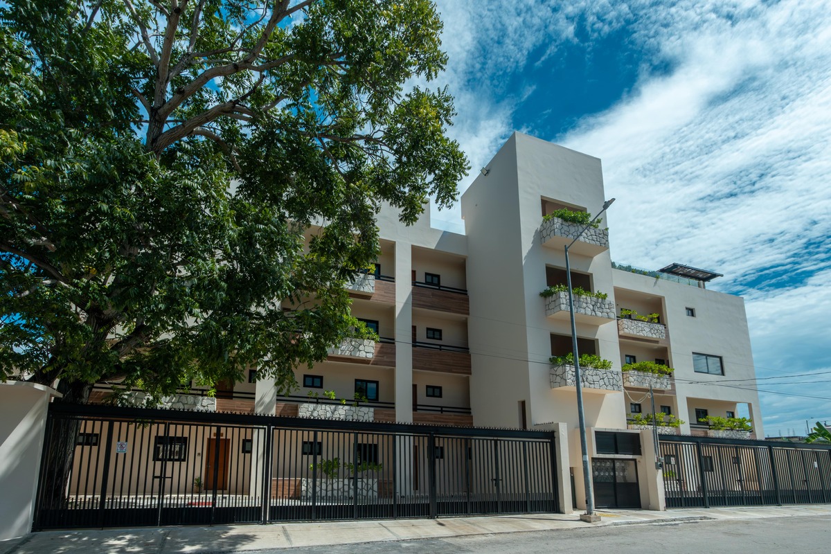 3 de 26