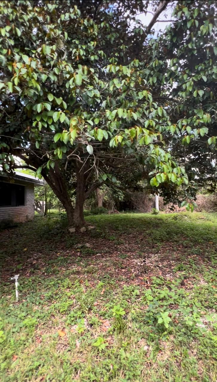 36 de 37