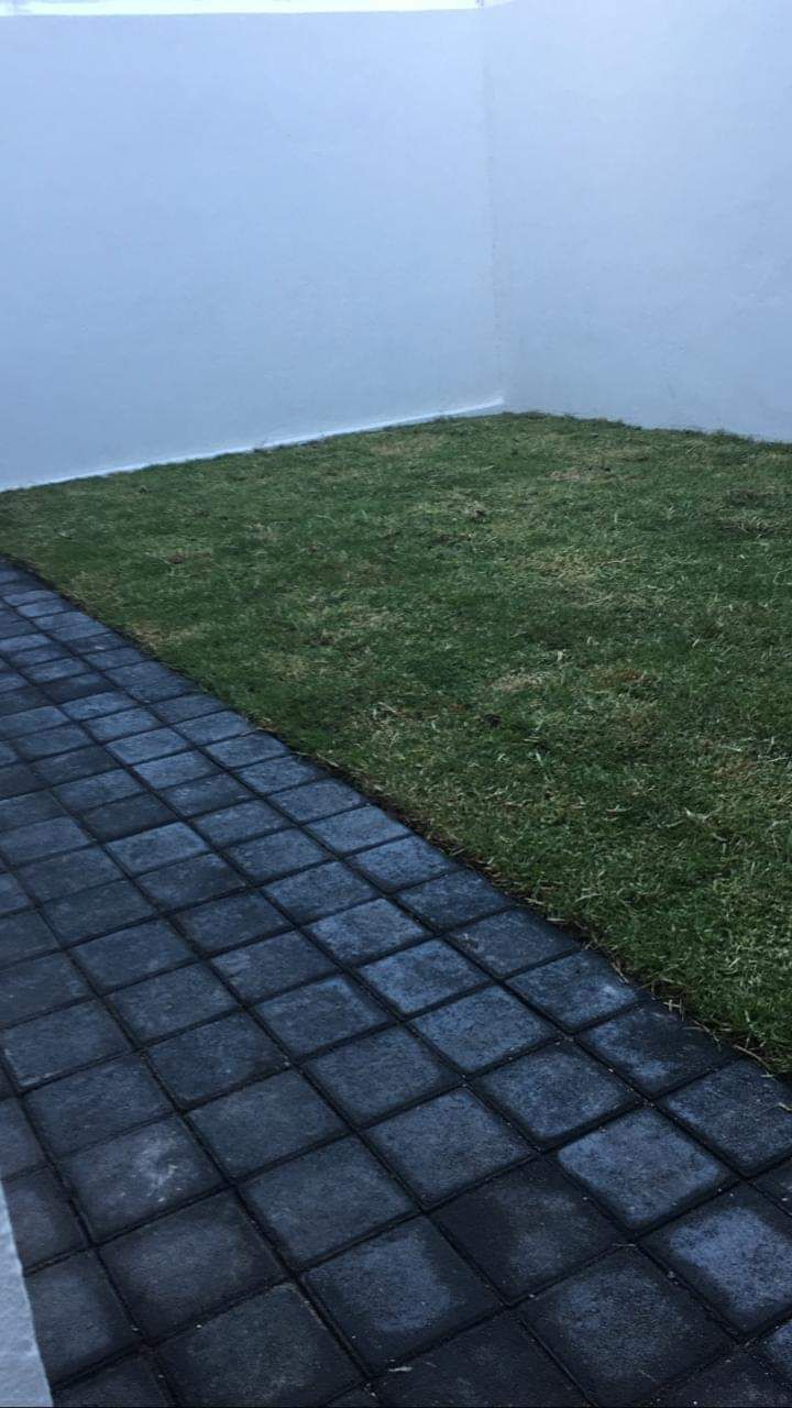 2 de 12