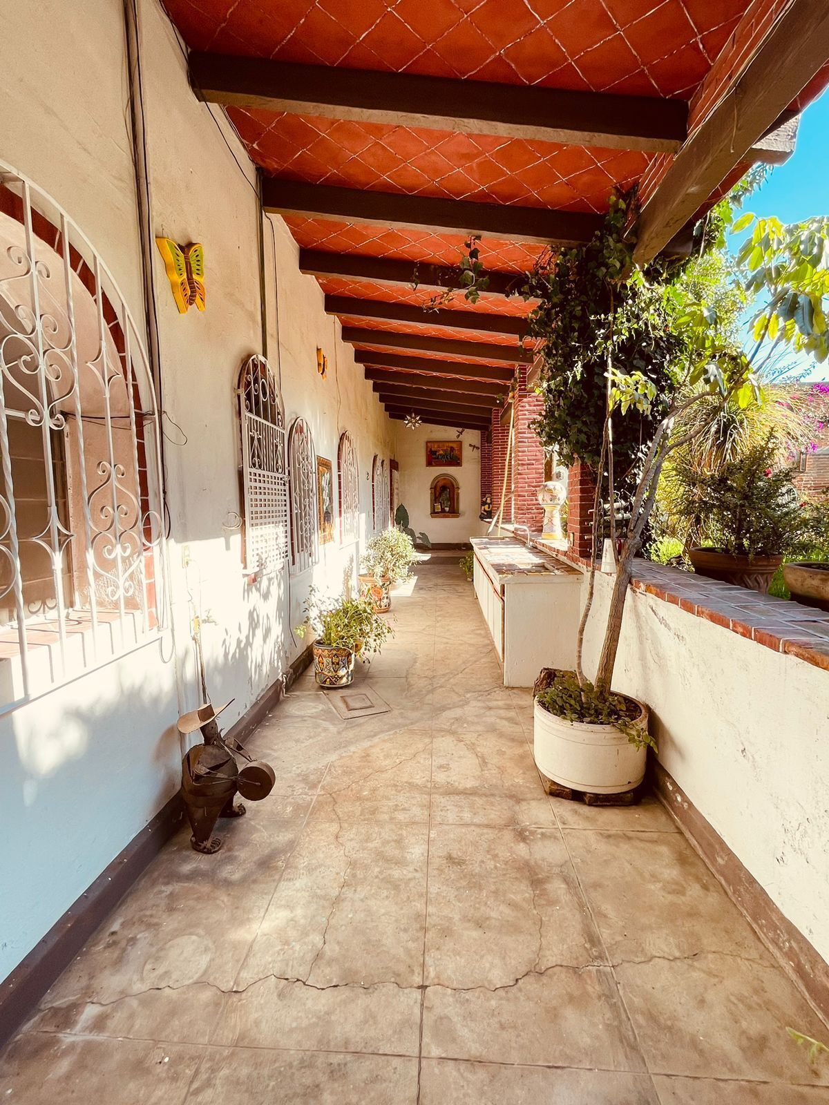 5 de 29