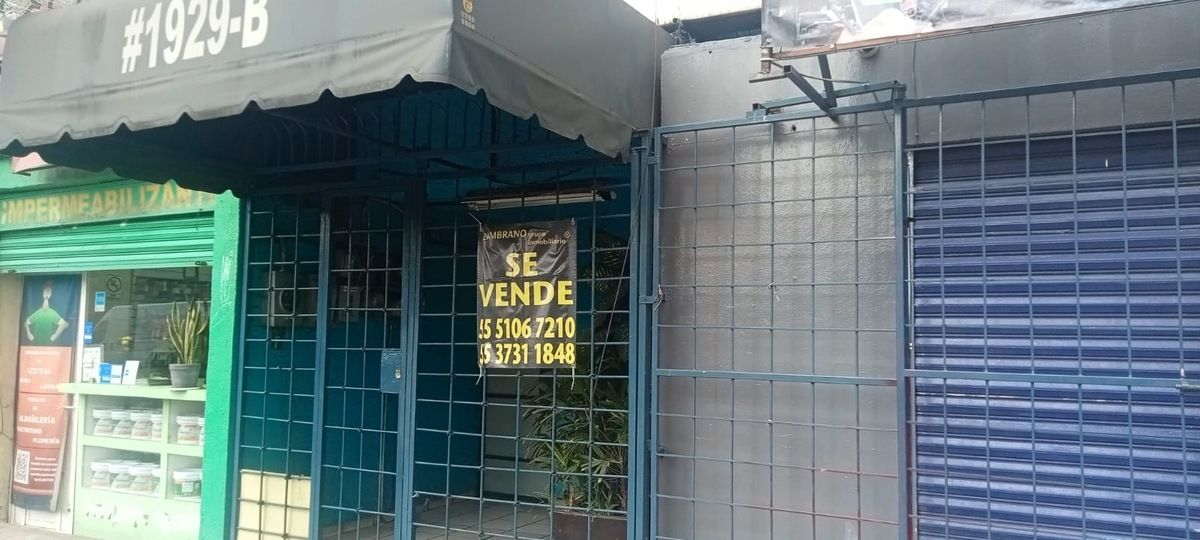 Imagen 3 de 8
