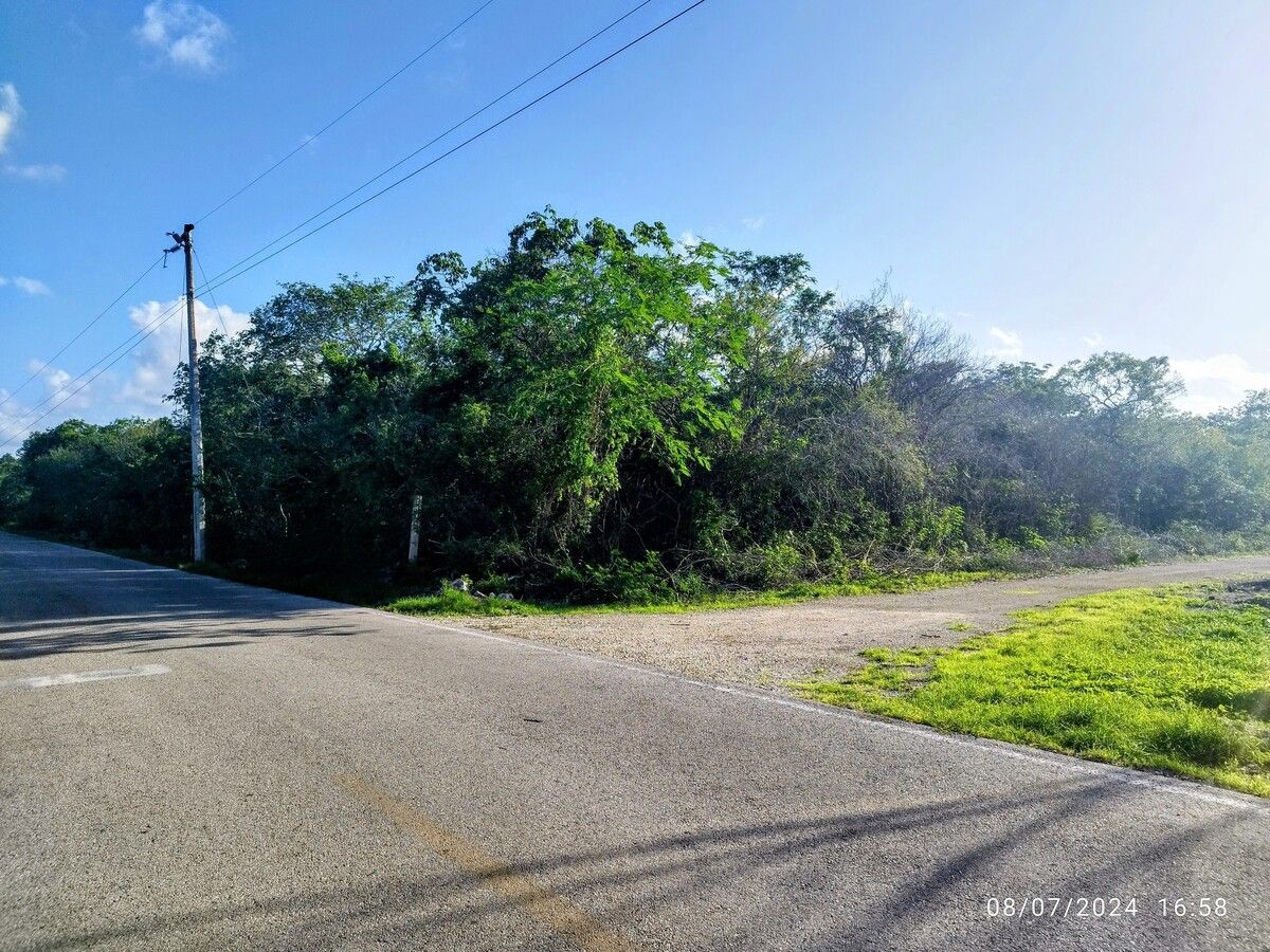 8 de 16: Vista esquina
