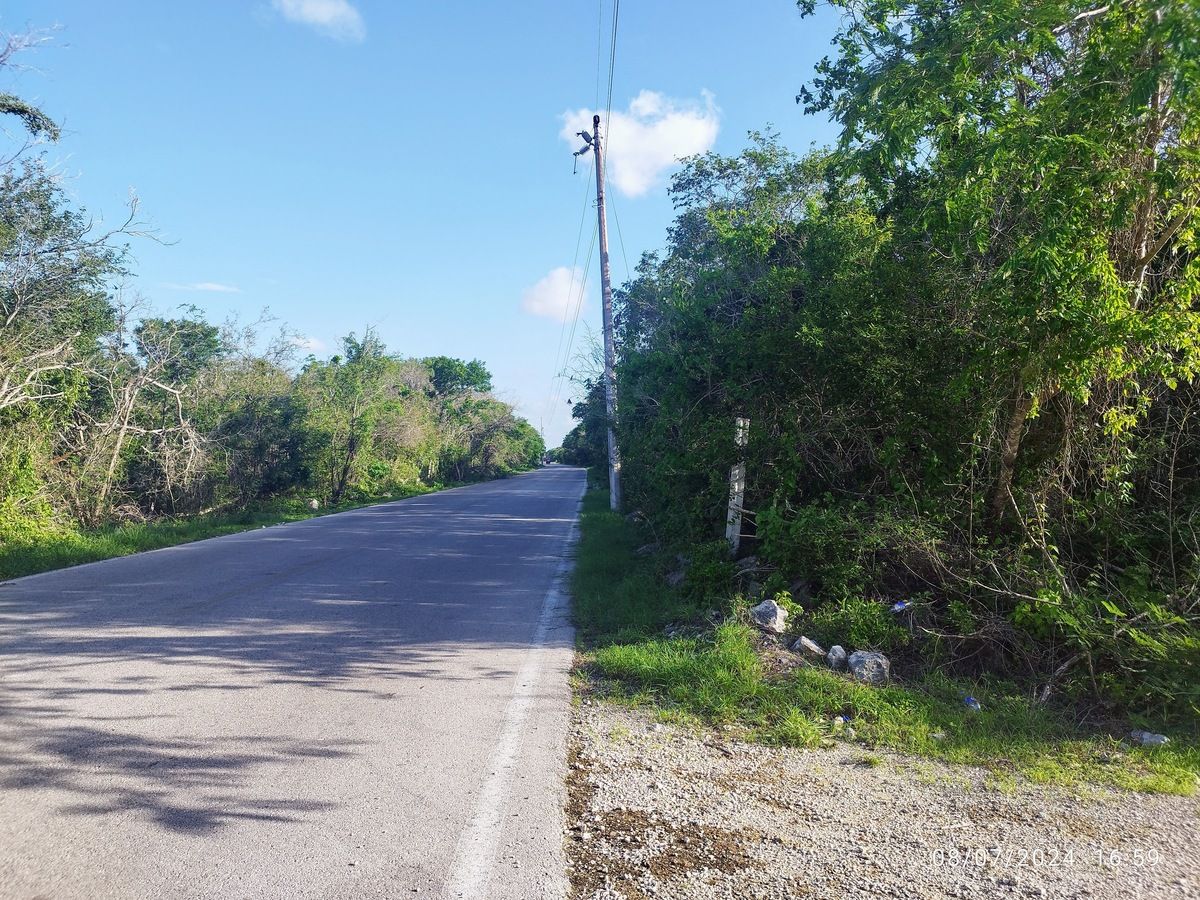 9 de 16: Poste de de CFE a pie de lote