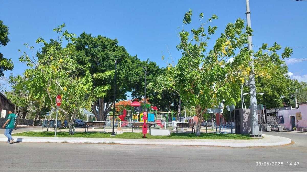 6 de 16: Parque Centro de Dzizilche