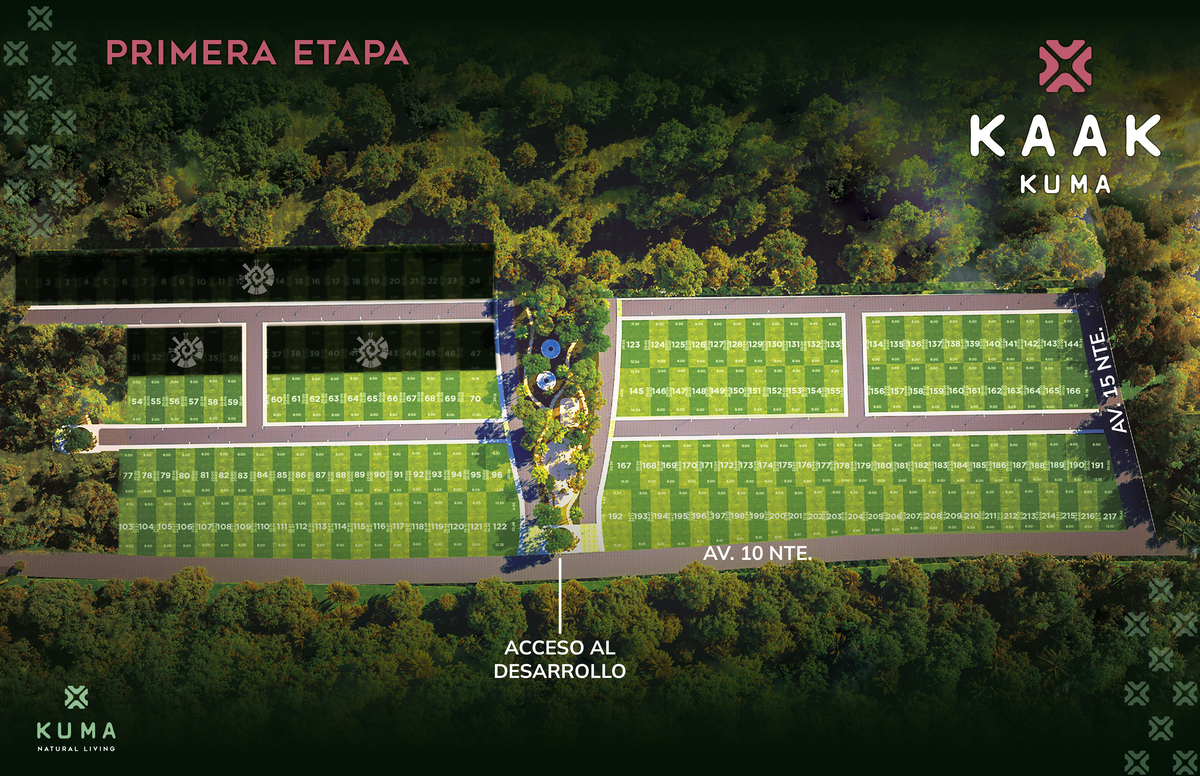 8 de 10: PRIMERA ETAPA