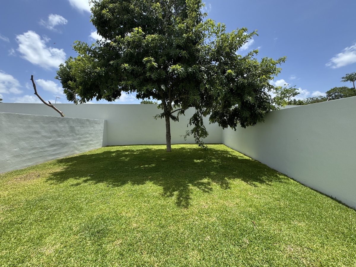 12 de 35