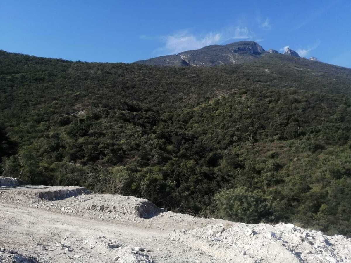 2 de 8