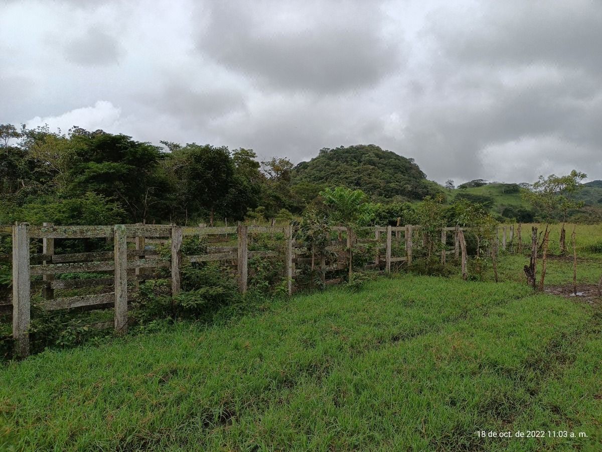 Se vende rancho de 100 hectáreas a tan solo 3.5 Km de la Carretera Federal. ( 75