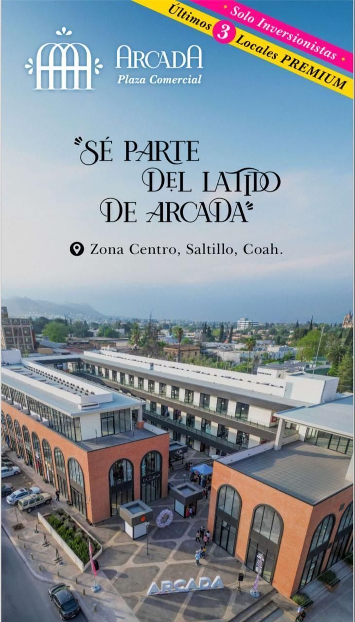 1 de 6