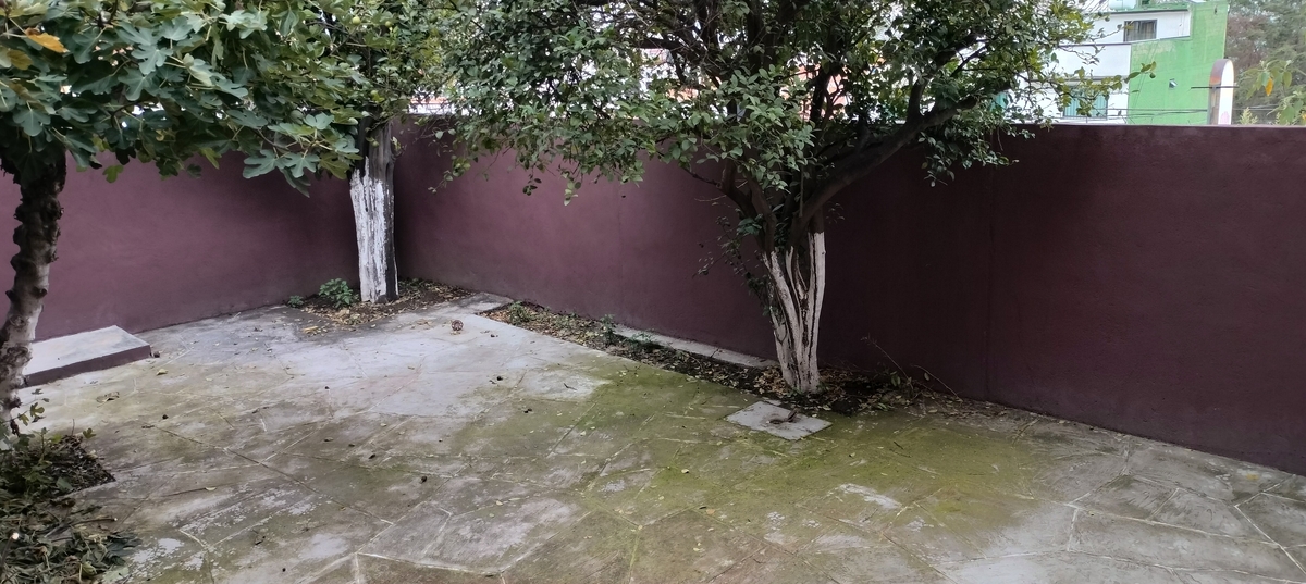 19 de 50