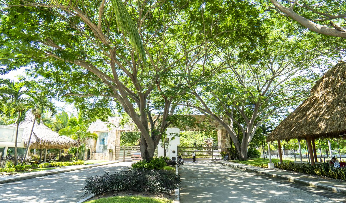 6 of 33: Salido del condominio