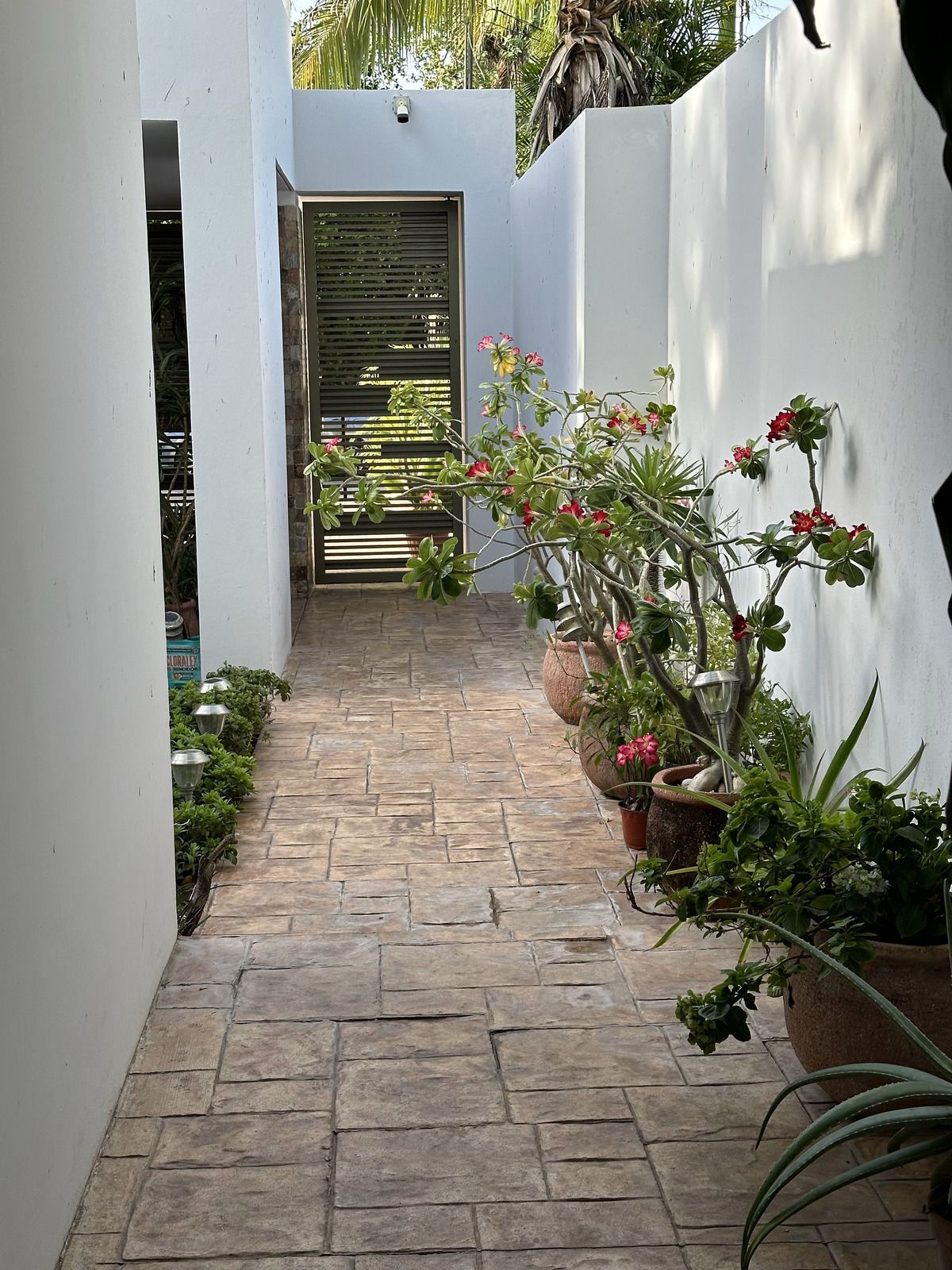 4 of 18: PORTICO DE ACCESO