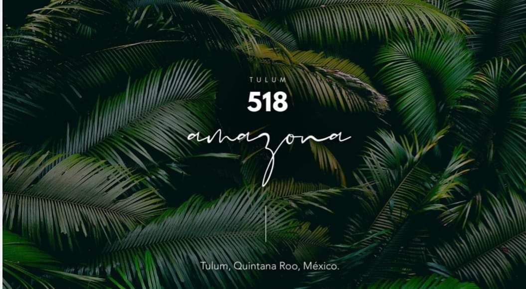 3 de 22