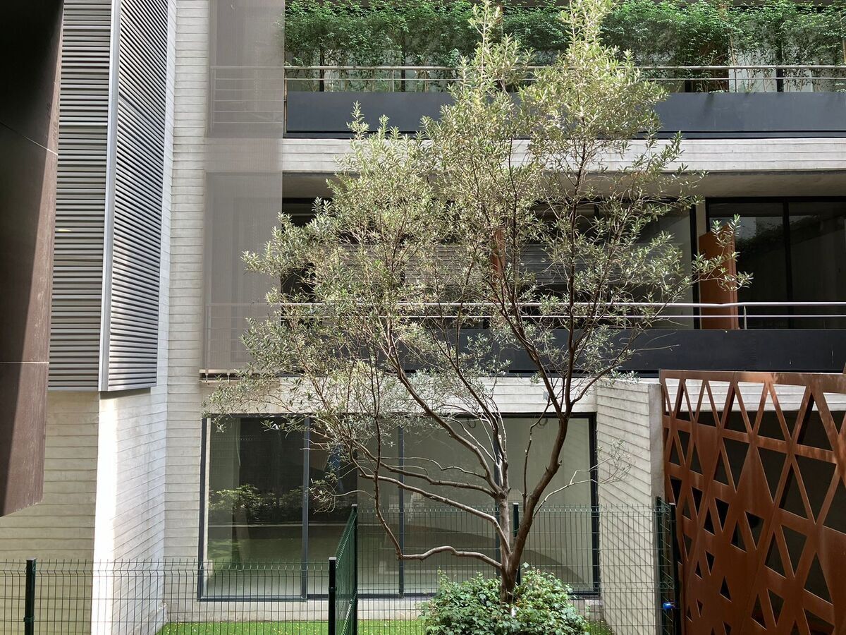 https://assets.easybroker.com/property_images/4684106/79035101/EB-QZ4106.jpeg?version=1724163491