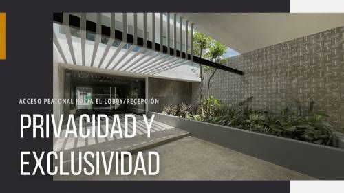 3 de 11
