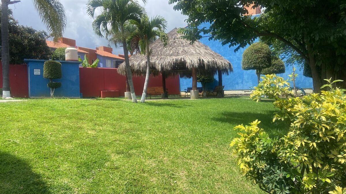 3 de 12