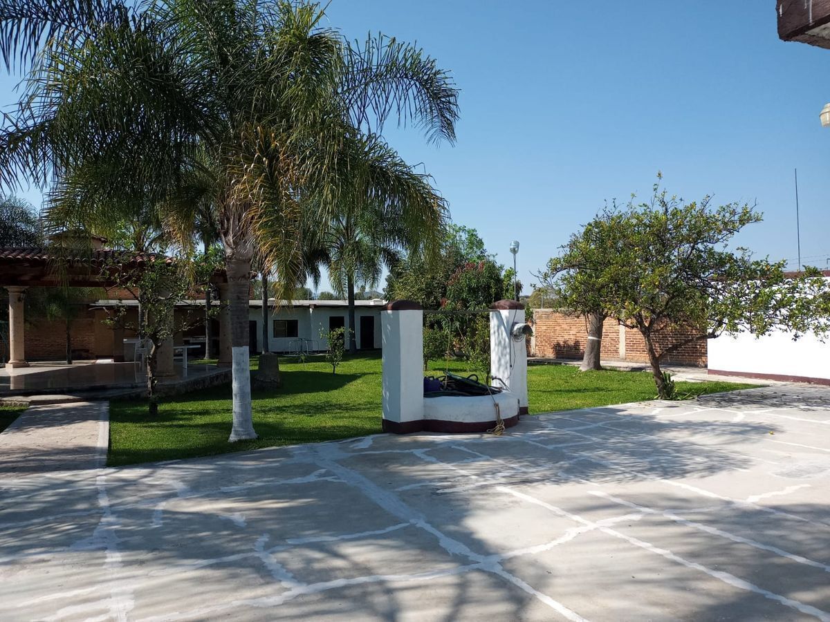 14 de 16