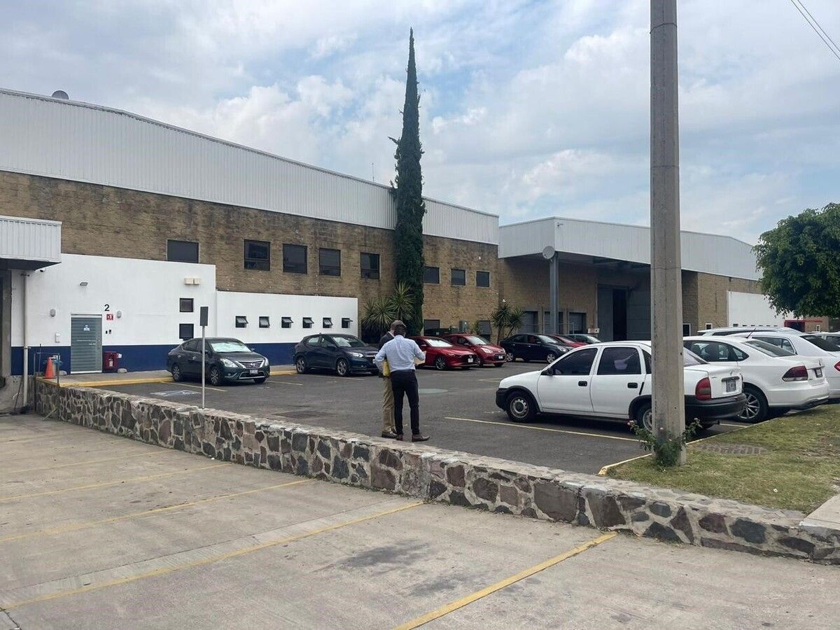 4 de 12