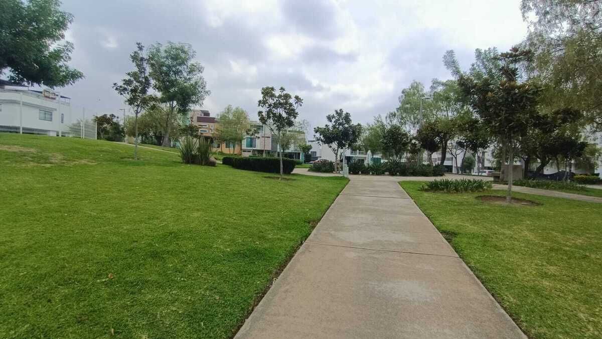 2 of 7