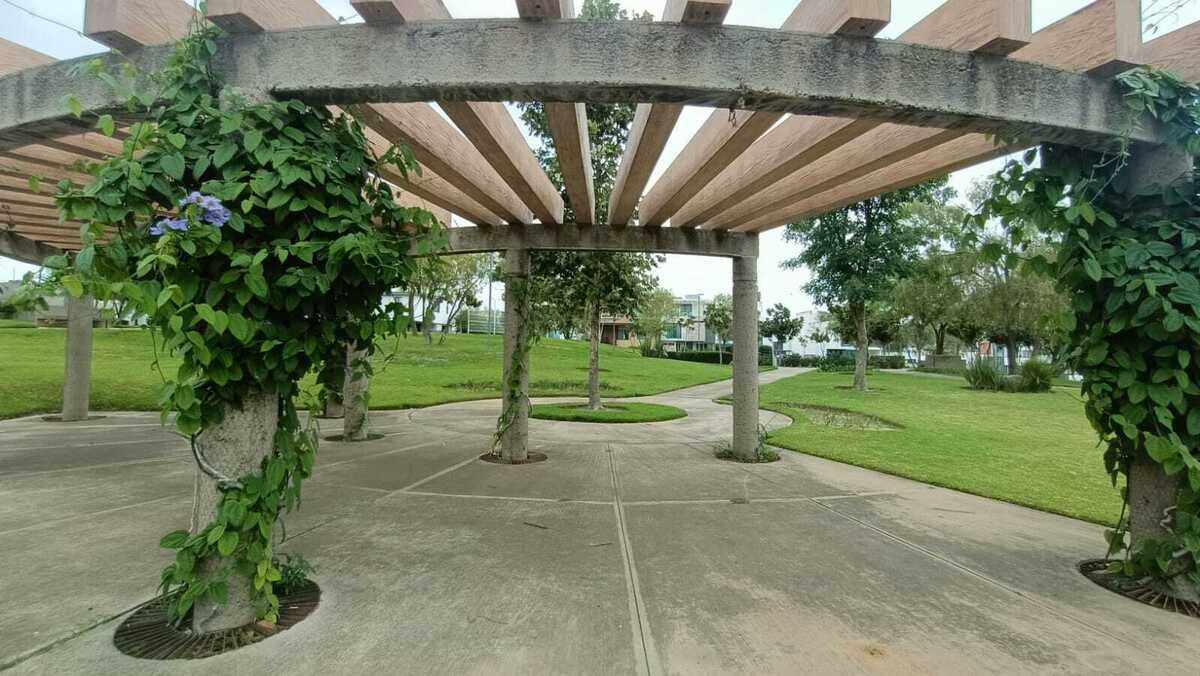 2 of 7