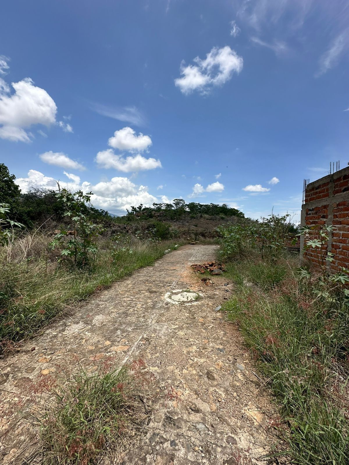 TERRENO USO MULTÍPLE EN AMATITÁN