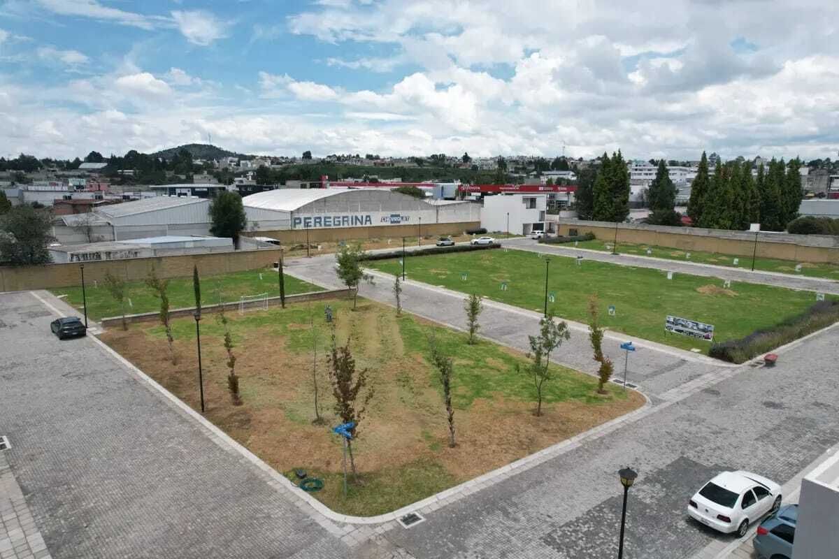 Imagen 2 de 4
