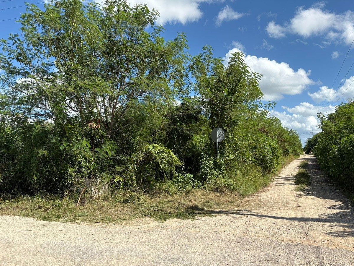 Lote em Conkal, Conkal, foto 2 de 9