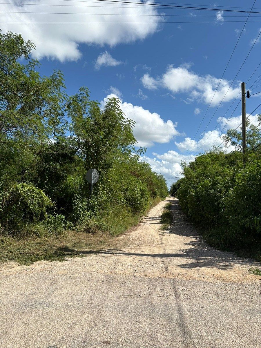 Lote em Conkal, Conkal, foto 4 de 9