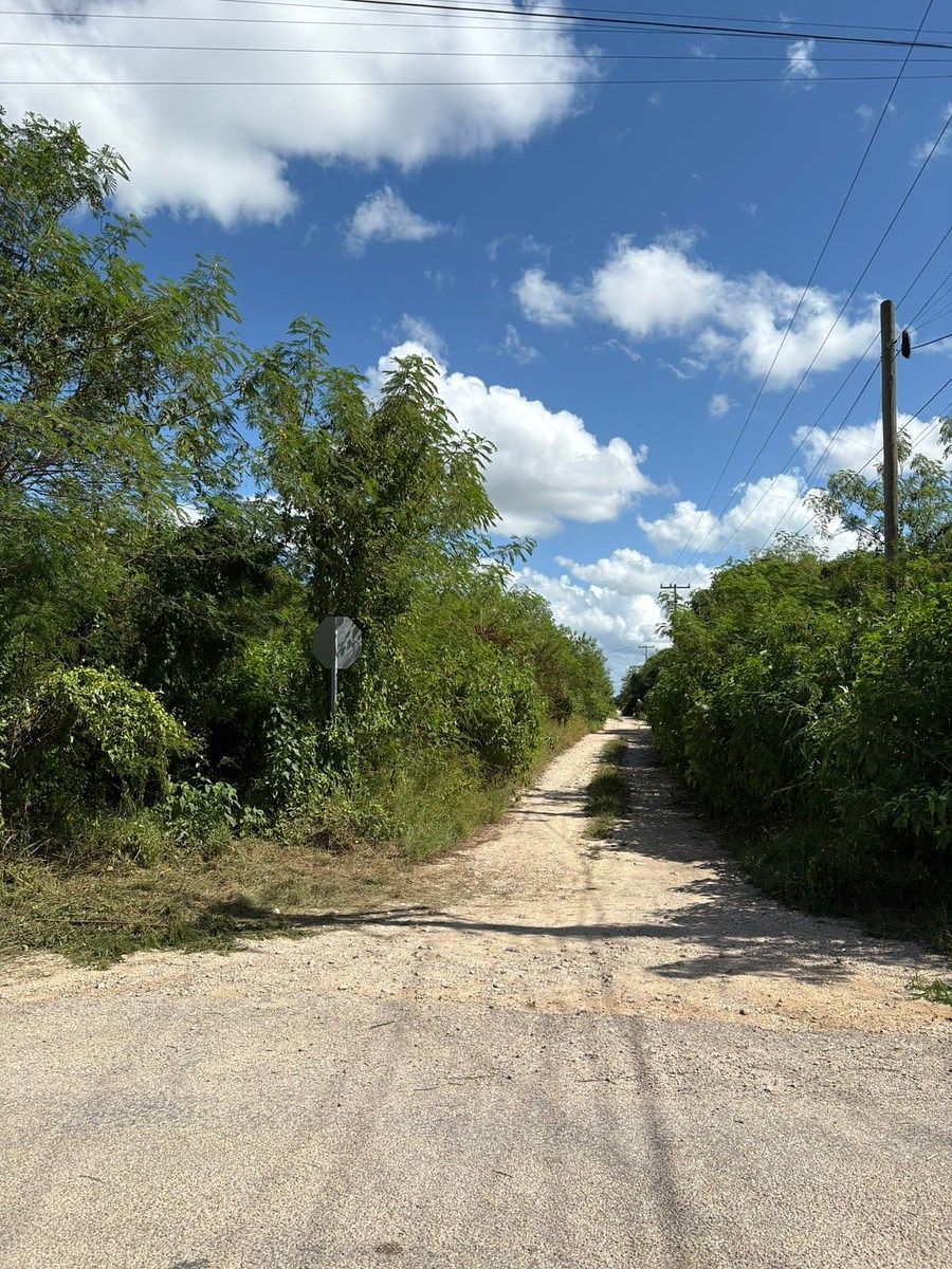 Lote em Conkal, Conkal, foto 9 de 9