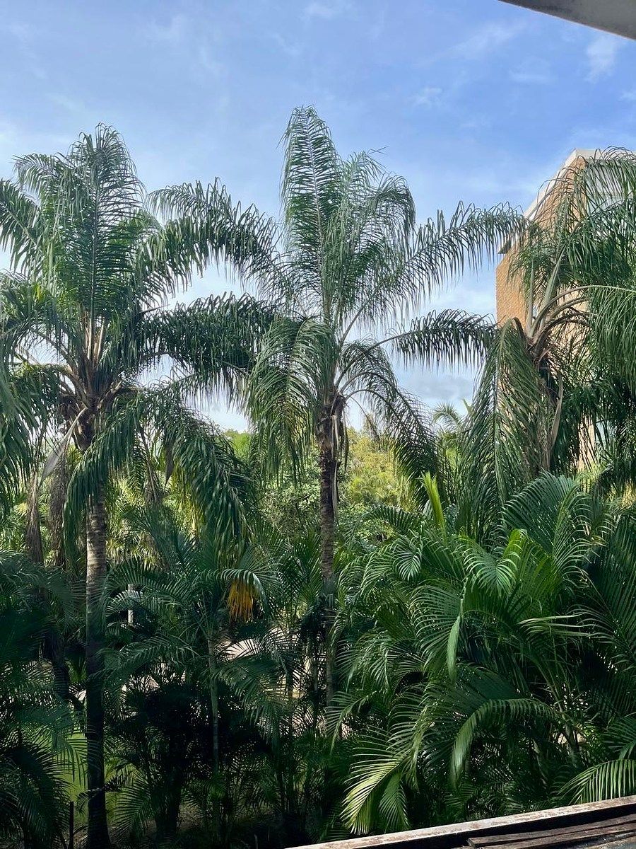 Apartamento em Yucatán Country Club, Mérida, foto 8 de 13