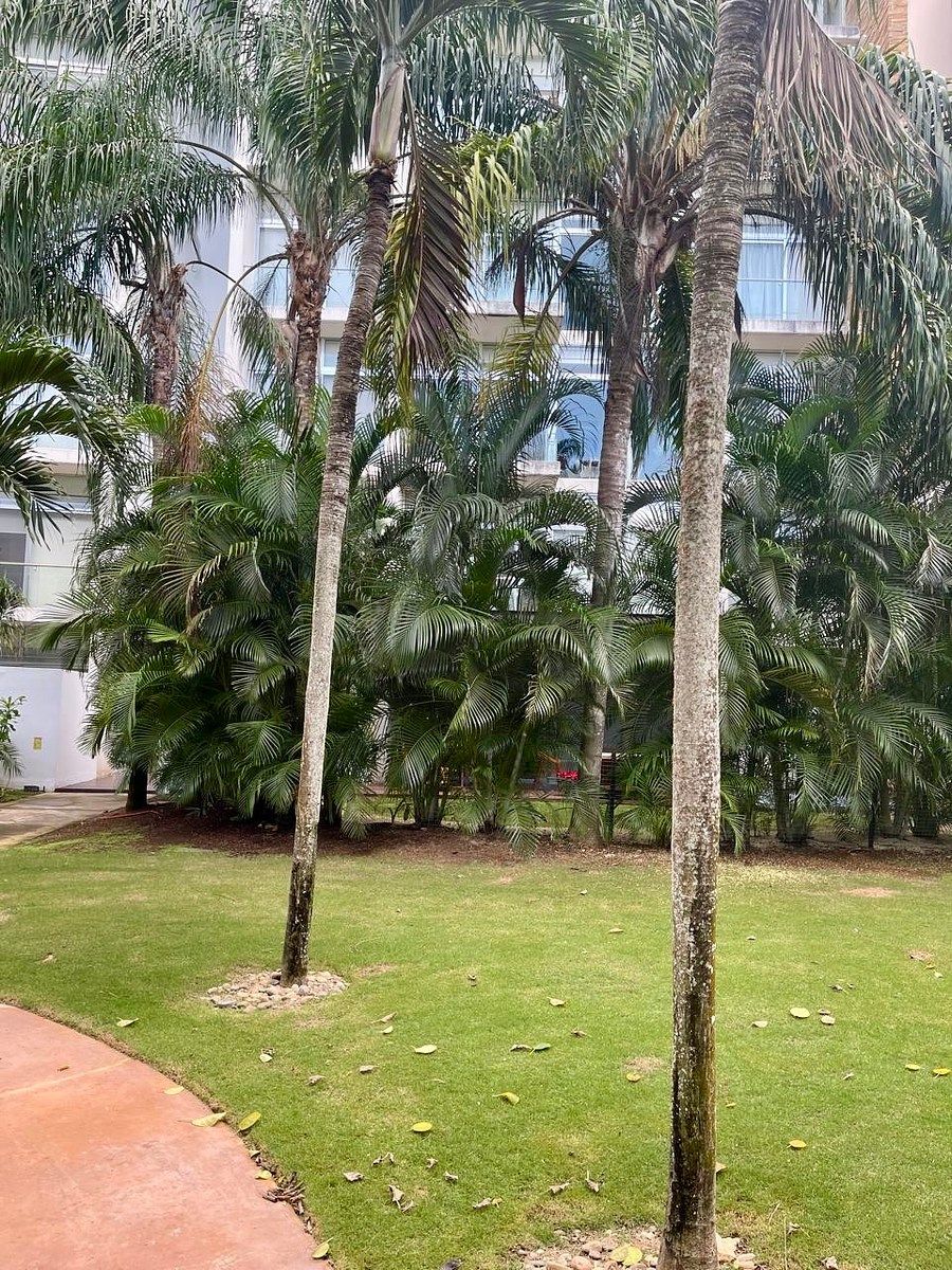 Apartamento em Yucatán Country Club, Mérida, foto 10 de 13