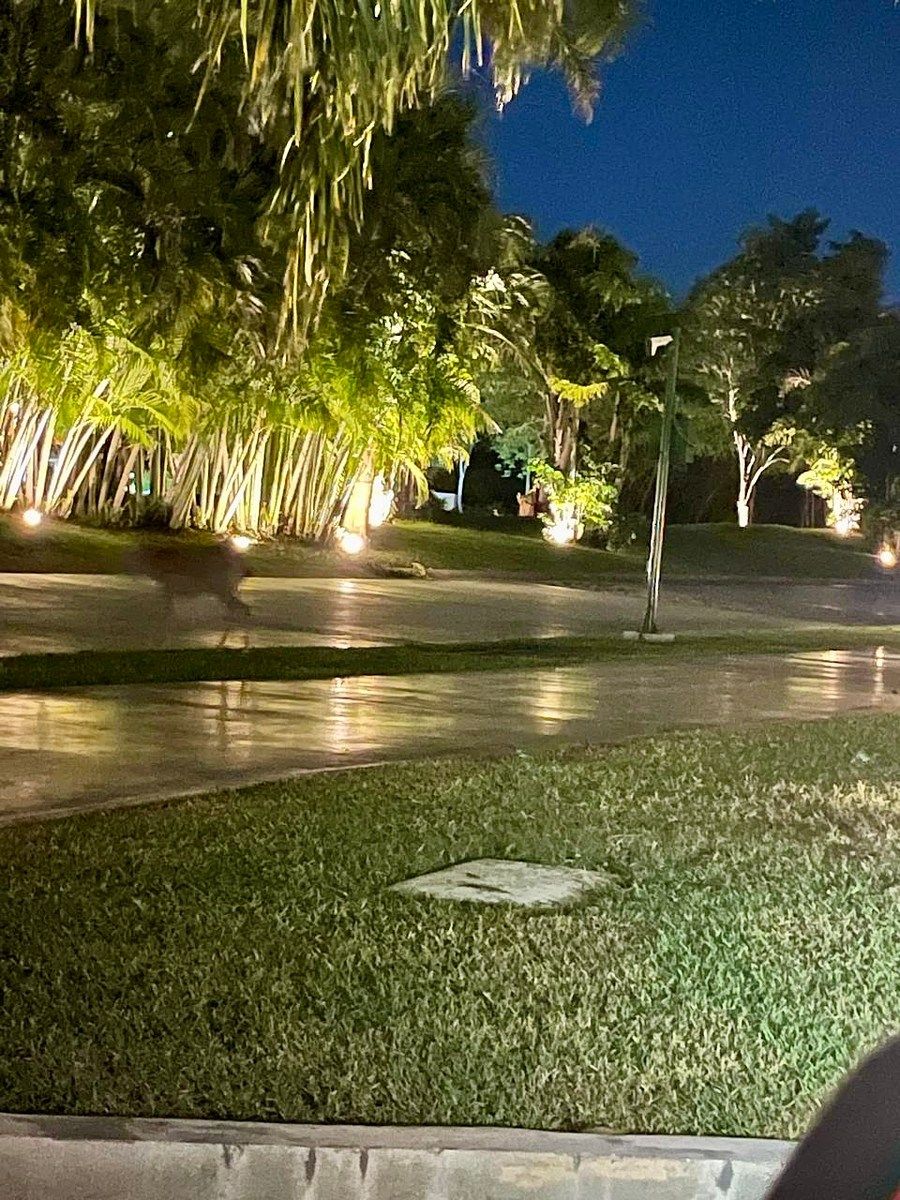 Apartamento em Yucatán Country Club, Mérida, foto 9 de 13