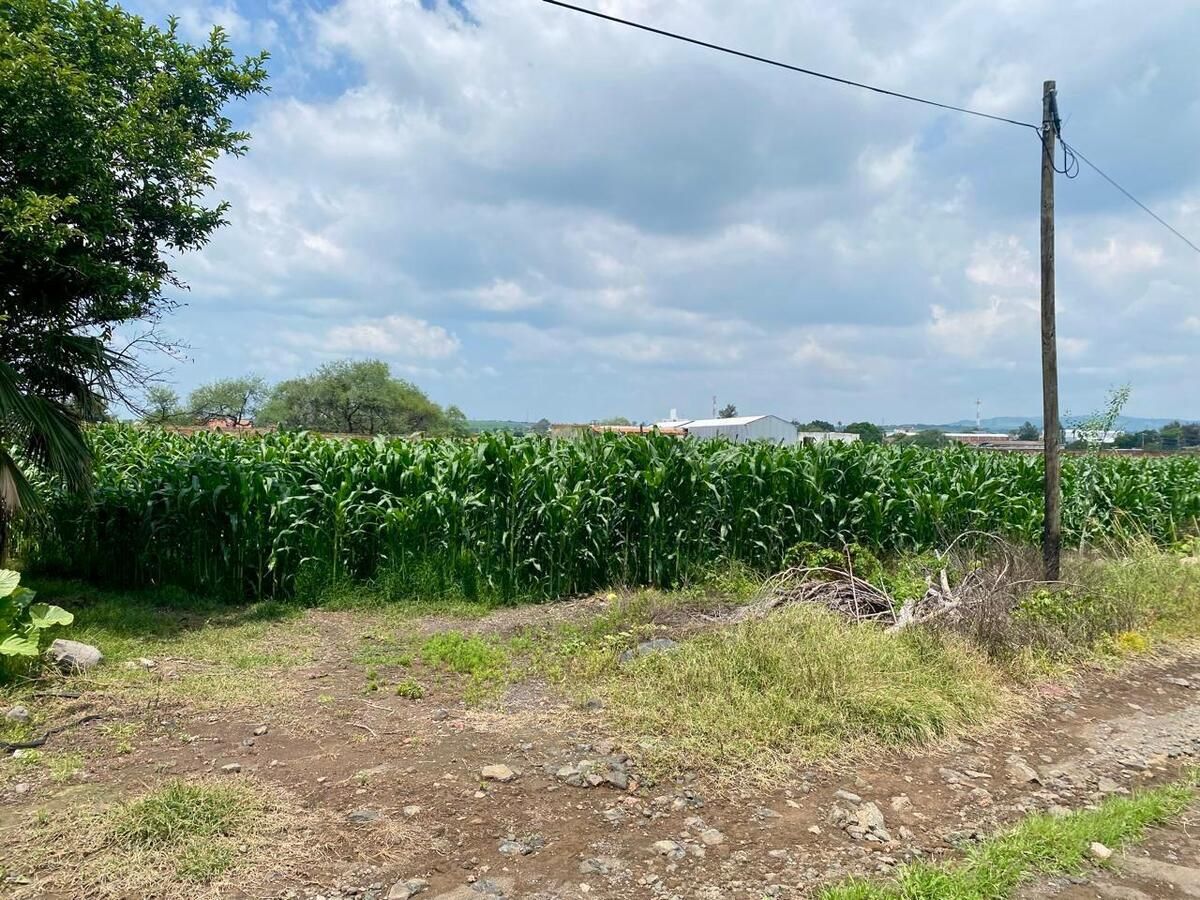 https://assets.easybroker.com/property_images/4690854/79168032/EB-RA0854.jpeg?version=1724376724