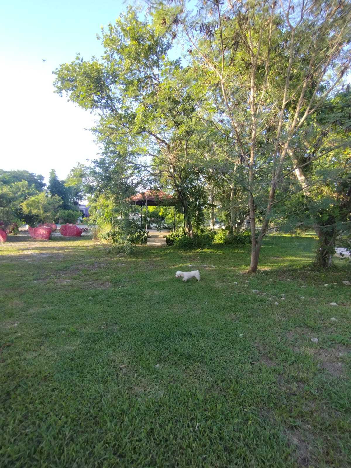 29 de 32