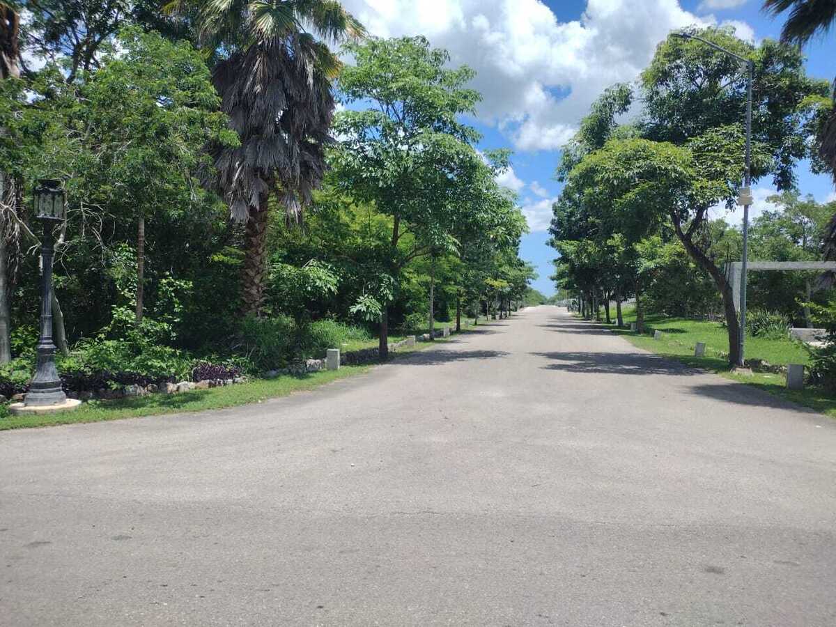 21 de 32