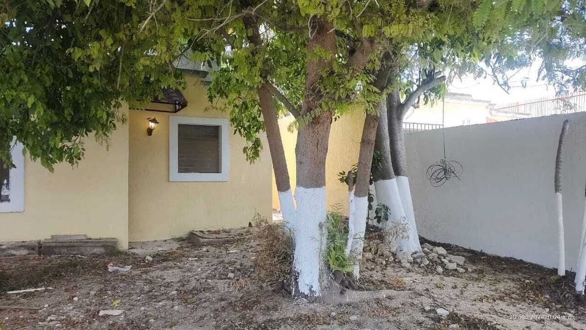 2 de 21