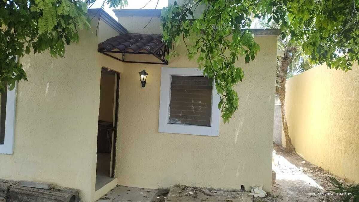 11 de 21