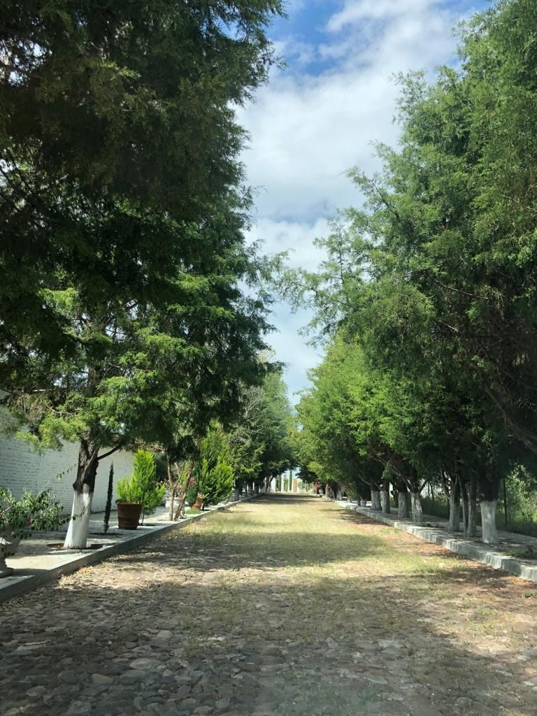 Beautiful lot @ "Bosques de Atotonilco".
