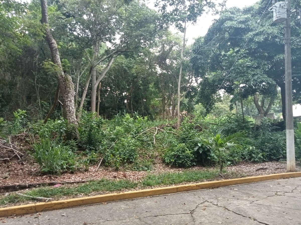 4 de 6