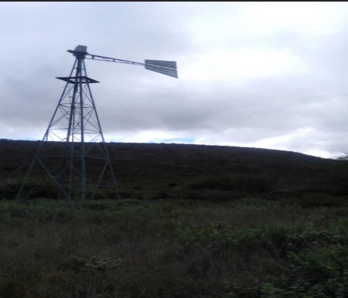 1 de 7
