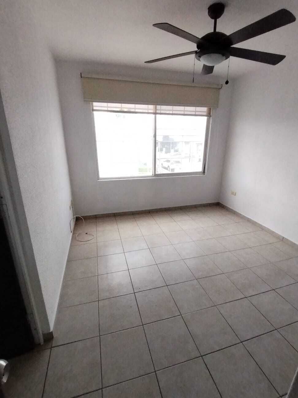 6 de 17